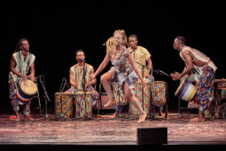 Folklore, Côte d'Ivoire, Spectacle, Ensemble Art et Culture (Côte d'Ivoire)