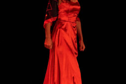Concert, Festival d'opéra