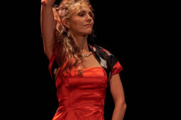 Concert, Festival d'opéra