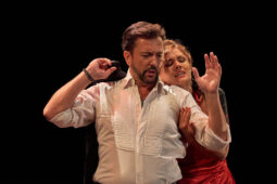 Concert, Festival d'opéra