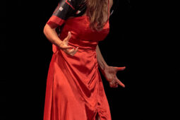 Concert, Festival d'opéra