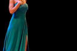 Concert, Festival d'opéra