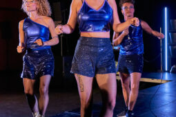Concert, Group Berthe, Spectacle