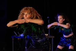 Concert, Group Berthe, Spectacle