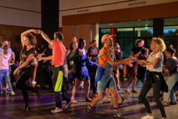Concert, Group Berthe, Spectacle, Public