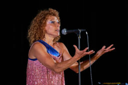 Concert, Group Berthe, Spectacle
