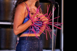 Concert, Group Berthe, Spectacle