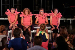Concert, Group Berthe, Spectacle, Public