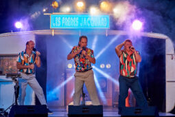 Les Frères Jacquard, Spectacle, Concert