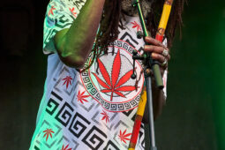 Concert, Positive Roots Band