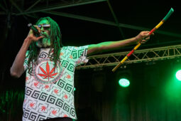 Concert, Positive Roots Band
