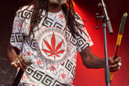 Concert, Positive Roots Band