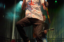 Concert, Positive Roots Band