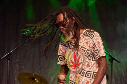 Concert, Positive Roots Band