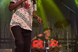Concert, Positive Roots Band