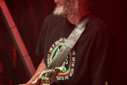 Concert, Positive Roots Band