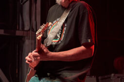 Concert, Positive Roots Band