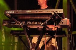 Concert, Positive Roots Band