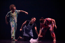 Théâtre du corps, Spectacle