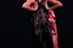 Spectacle, Théâtre du corps