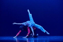 Spectacle, Théâtre du corps