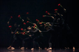 Spectacle, Théâtre du corps