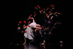 Spectacle, Théâtre du corps