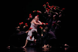 Spectacle, Théâtre du corps