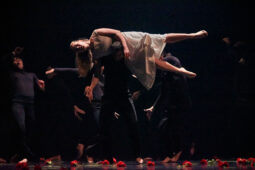 Spectacle, Théâtre du corps