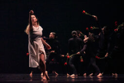 Spectacle, Théâtre du corps