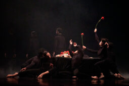 Spectacle, Théâtre du corps