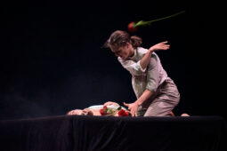 Spectacle, Théâtre du corps