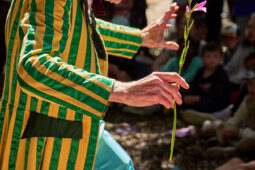 Spectacle, Cie Burdin Rhode, Public