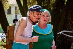 Spectacle, Cie Burdin Rhode
