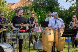 Concert, Pan Vaca