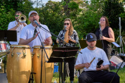Concert, Pan Vaca