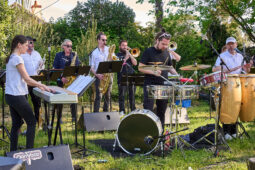 Concert, Pan Vaca