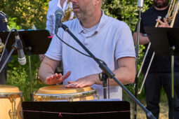 Concert, Pan Vaca