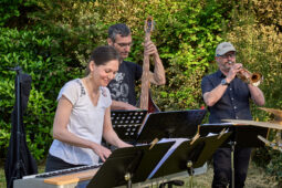 Concert, Pan Vaca