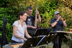 Concert, Pan Vaca