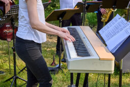 Concert, Pan Vaca