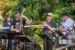 Concert, Pan Vaca