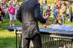 Concert, Pan Vaca, Public