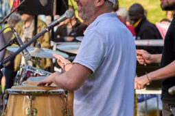 Concert, Pan Vaca