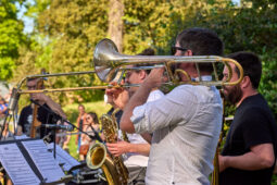 Concert, Pan Vaca