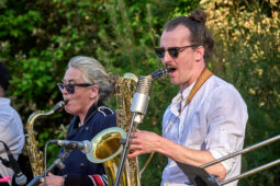 Concert, Pan Vaca