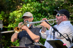 Concert, Pan Vaca