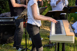 Concert, Pan Vaca