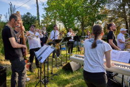 Concert, Pan Vaca