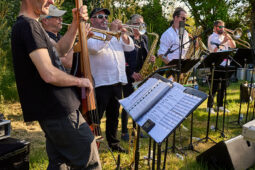 Concert, Pan Vaca